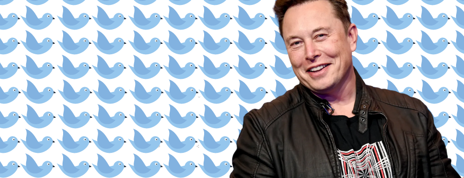 Elon Musk with Twitter icons