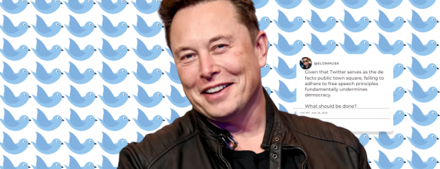 Elon Musk with Twitter icons
